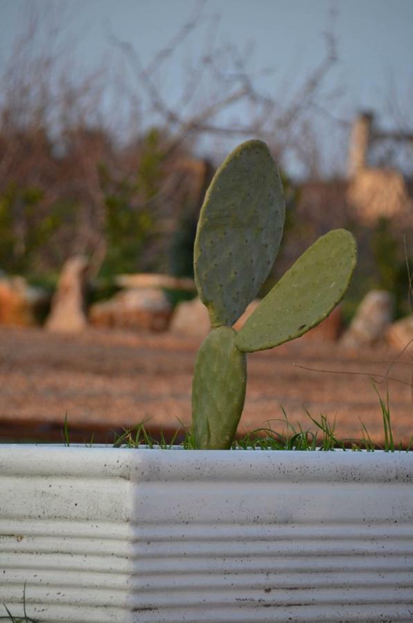 Masseria Poli Country House Conversano Bagian luar foto